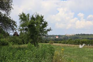 Nowy rezerwat przyrody w woj. lubelskim? Bajkowy Mięćmierz może być jego częścią