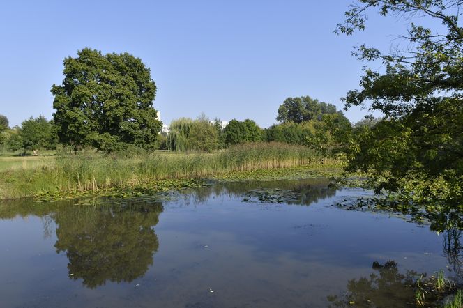 Park Skaryszewski w Warszawie