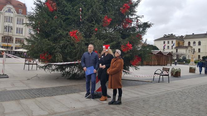 Przygotowania do Bydgoskiego Jarmarku Świątecznego