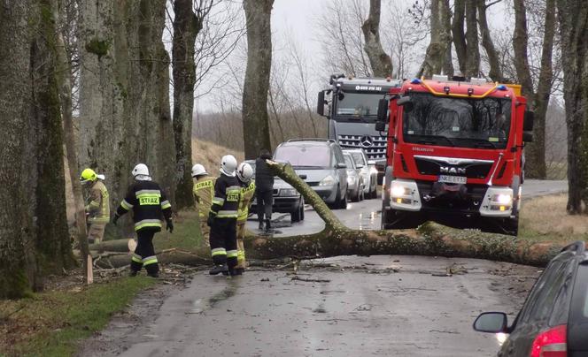 Wichura na Warmii i Mazurach. Silny wiatr łamał drzewa