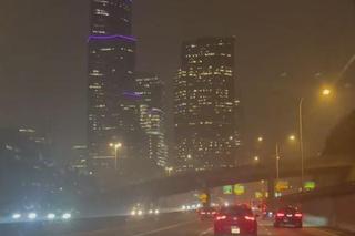 Joanna Opozda w Seattle