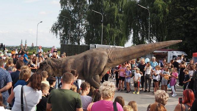 Piknik Rodzinny „Sport wzbogaca - nałóg zatraca" na Kopcu Wyzwolenia w Piekarach Śląskich 