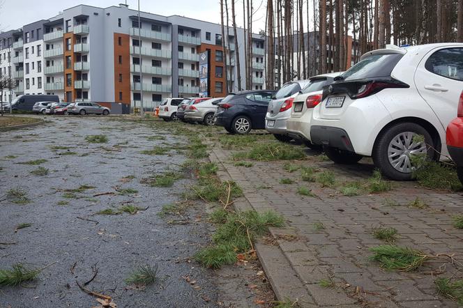 Trwa szacowanie szkód po wichurze nad Lesznem 
