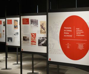  Muzealne perełki Wielkopolski: sztuczna inteligencja wybrała najciekawsze!