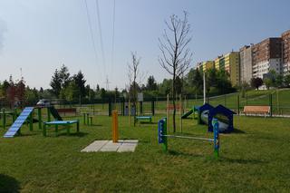 Park psiej aktywności w Sosnowcu