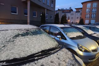Pierwszy śnieg spadł w Poznaniu i okolicach