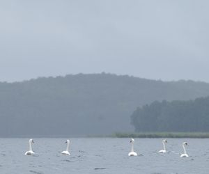 Jezioro Drawsko