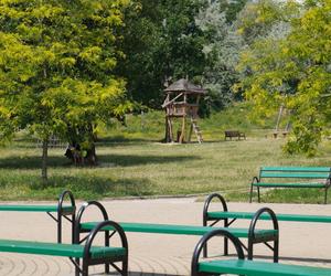 Lublin. „Filary porośnięte bluszczem” i nie tylko. Park Jana Pawła II w lipcowej odsłonie