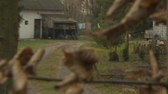 Szok! Matka przez rok trzymała niepełnosprawną córkę w stajni. Dziewczynie ZGNIŁ pośladek i udo