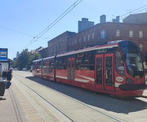Katowice jak patelnia. Obowiązuje ruch cieniostronny. Nawet gołębie chowają się w cieniu