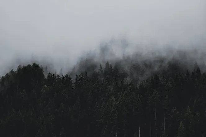 Mgły, deszcz ze śniegiem, ale również dwucyfrówka na plusie! Pogoda szykuje niespodzianki