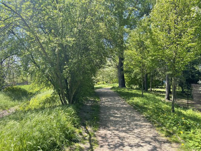 Najdłuższy park w Polsce jest w Krakowie. Ledwo widać go na mapach, a jest pełen atrakcji