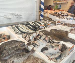 Ryby. Hala rybna w Gdyni 2023 belona