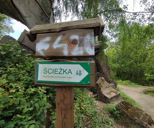 Zwalony most w Grądach Kruklaneckich