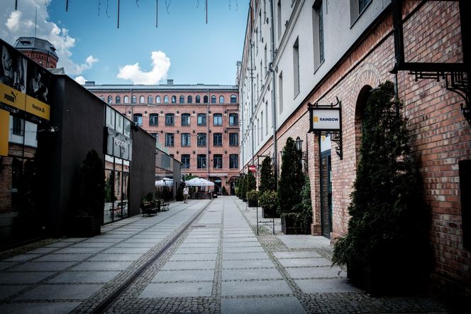 Małe miasteczko z wielkim potencjałem. Odkryj największe atrakcje Żyrardowa 