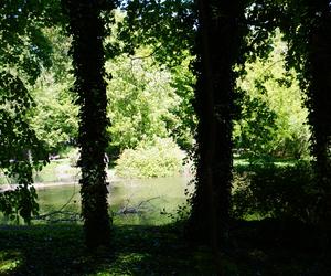 Park Sołacki w maju 2024