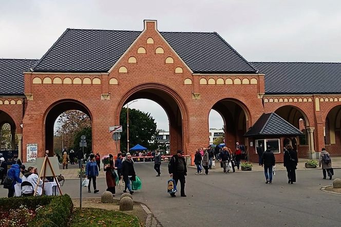 1 listopada na Cmentarzu Centralnym w Szczecinie