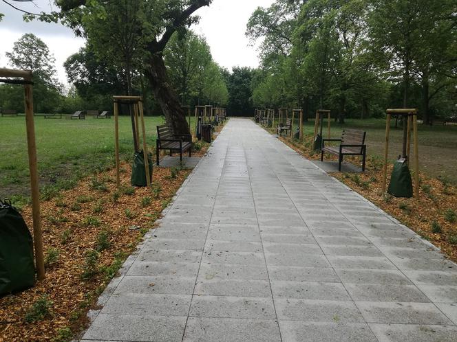 Park Glazja