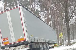 Ciężarówka przebiła się przez murek i wjechała prosto do parku w Zawierciu