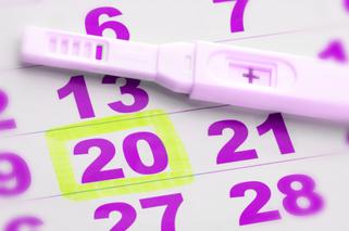 Kalendarz badań w ciąży – badania, jakie powinna wykonać kobieta w ciąży