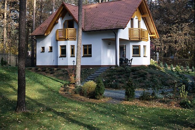 Ogrod na zalesionej dzialce