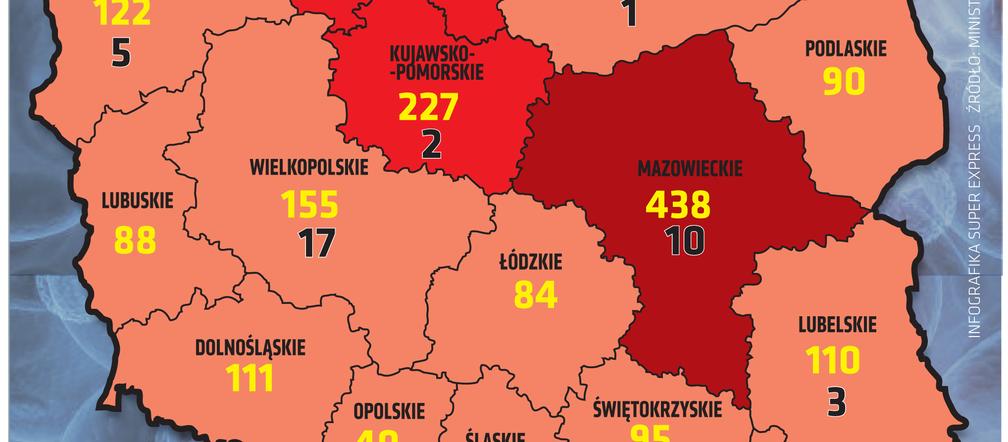 koronawirus w Polsce województwa 8 2 2021