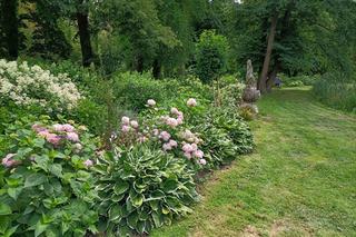 Arboretum Kórnickie - raj dla miłośników pięknych roślin