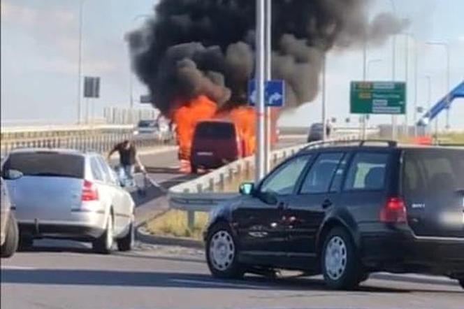 Opole: Bus doszczętnie spłonął na środku ulicy!