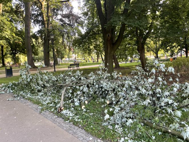 Rzeźba w parku przy Dąbrowskiego straciła głowę i nie tylko. Nie wiadomo czy da się ją naprawić 