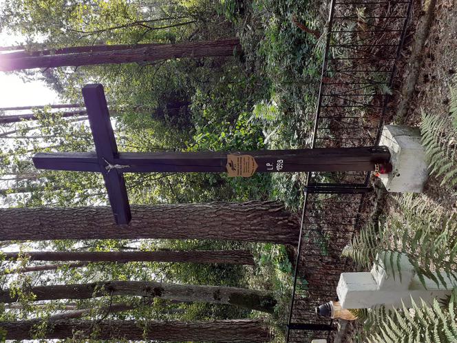 Wycieczka krajoznawcza Muzeum Regionalnego w Siedlcach śladem upamiętnień wojny polsko-bolszewickiej z 1920 roku