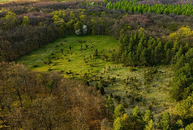 Ponidzie w obiektywie. Zobacz piękne fotografie!