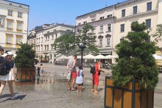Kraków skąpany słońcem. Jak mieszkańcy miasta radzą sobie z upałami?
