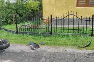  Maryniów. Wypadek 19-letniego motocyklisty [GALERIA]	