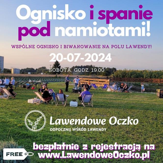 Spędź noc pod namiotem na plantacji Lawendowe Oczko w Purzecu pod Siedlcami. Wydarzenie już 20 lipca