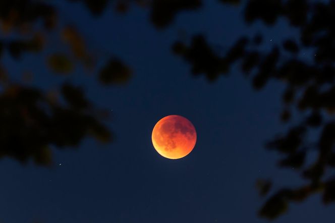 Krwawy Księżyc. Całkowite zaćmienie Księżyca obserwowane na całym Świecie