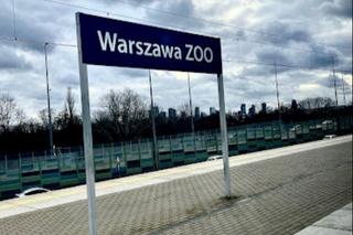 Tragiczny wypadek w Warszawie. Nie żyje rowerzysta, który wpadł pod pociąg na stacji Warszawa ZOO