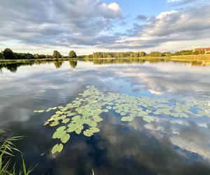 Szukacie ciszy i spokoju nad wodą? Zalew Umer to świętokrzyska oaza