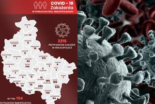 Koronawirus w Wielkopolsce. Zobacz, ile osób WYZDROWIAŁO [RAPORT]