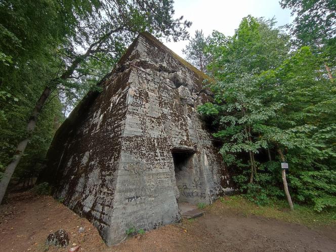 Czarny Szaniec na Mazurach. Bunkry Himmlera ukryte w lesie koło Pozezdrza [ZDJĘCIA]