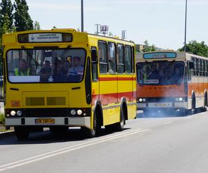 Zlot zabytkowych autobusów 2022 w Bydgoszczy [ZDJĘCIA] 