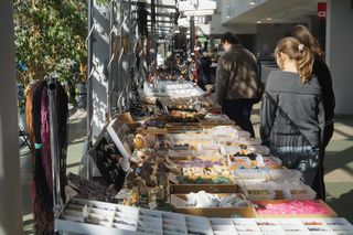 Egzotyczne zwierzęta, minerały i magia w jednym miejscu! Tak było na targach w Bydgoszczy 