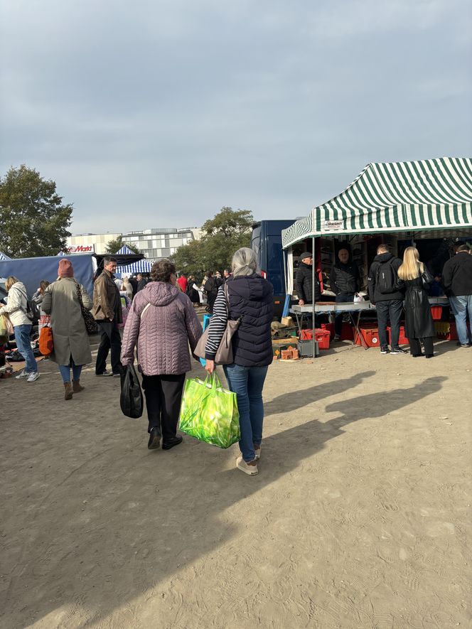 Niedzielny Targ - nowy pchli targ w Poznaniu