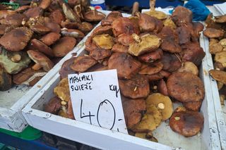 Ceny grzybów na Nowym i Starym Kleparzu w Krakowie