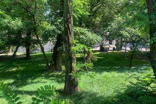 W Lublinie pojawią się dwa nowe zielone skwery