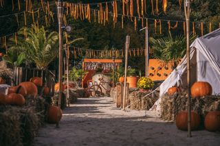 Wioska dyniowa w Brennej