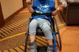 Rysiu zmaga się z ciężką chorobą. Pomóc może kosztowna operacja