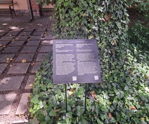 Ogród przy pałacu Czapskich w Krakowie