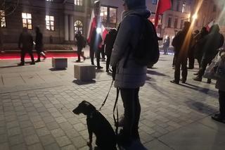 Marsz Pamięci Żołneirzy Wyklętych w Lublinie. Wcześniej odbył się laserowy pokaz