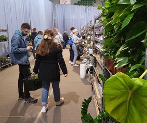 Bydgoszcz rozkwitła zielenią w Łuczniczce. Tak było na Festiwalu Roślin