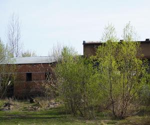 Opuszczona cegielnia w Dobrzyniewie
